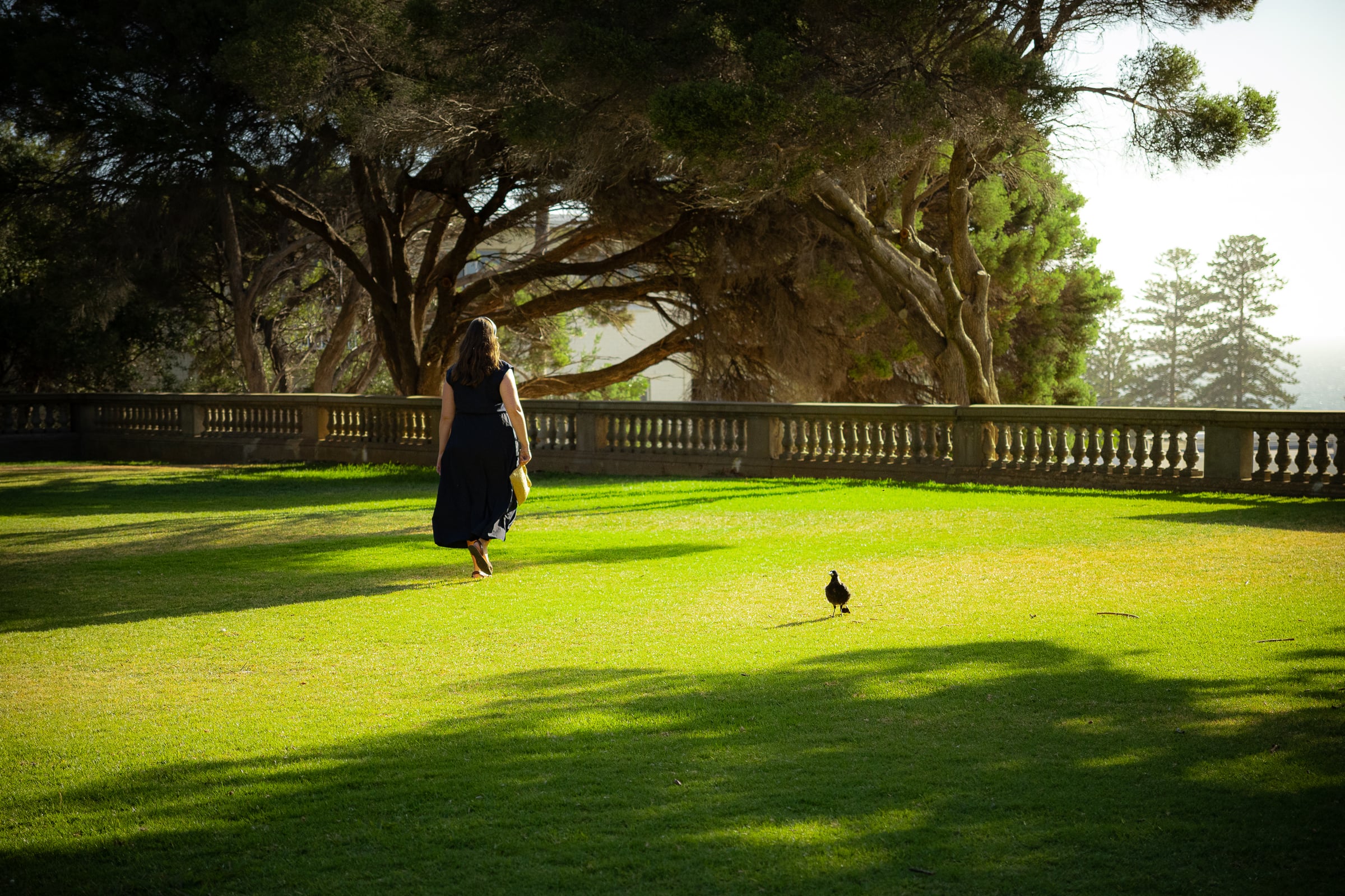 Photography in Australia