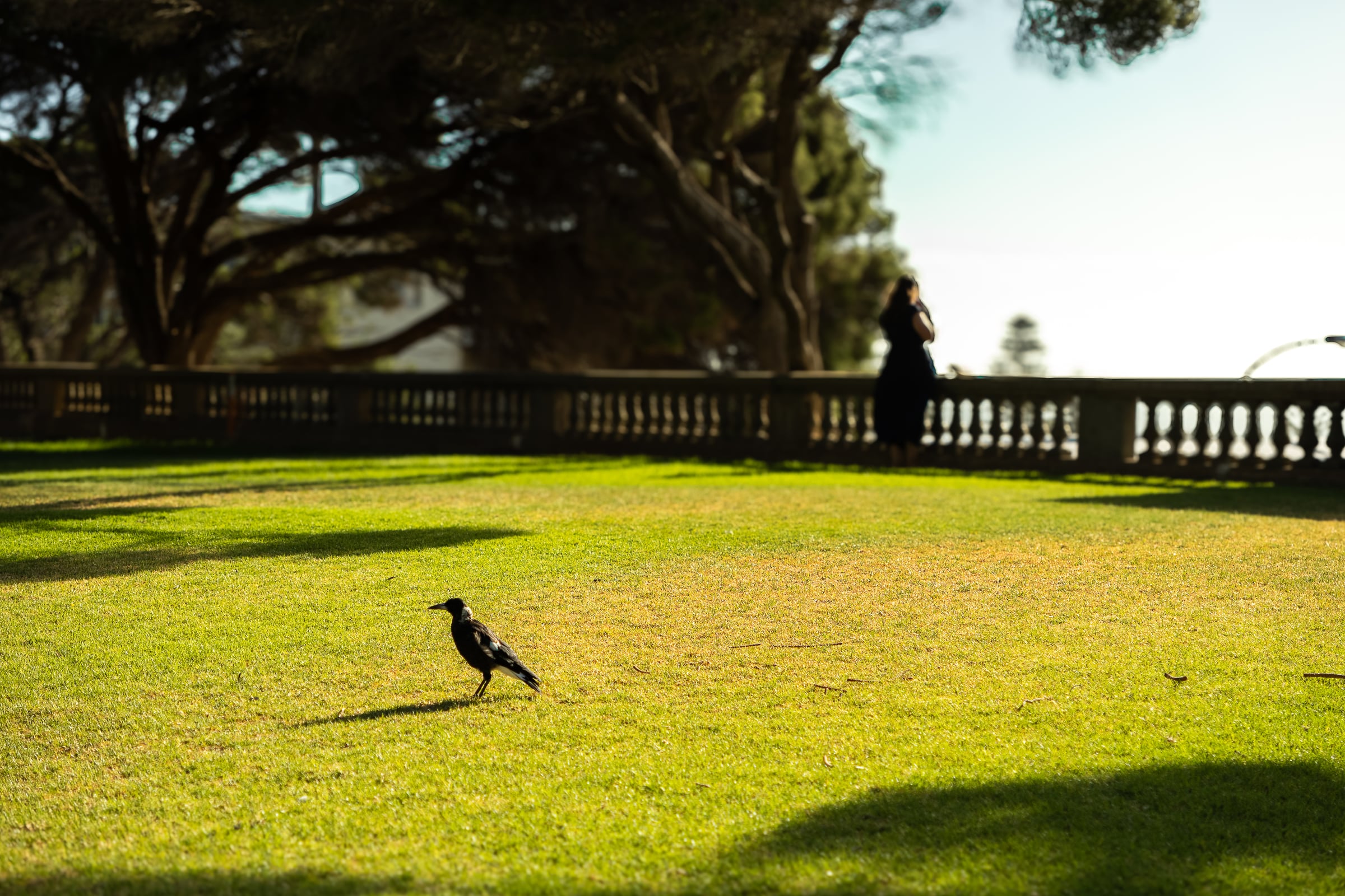 Photography in Australia
