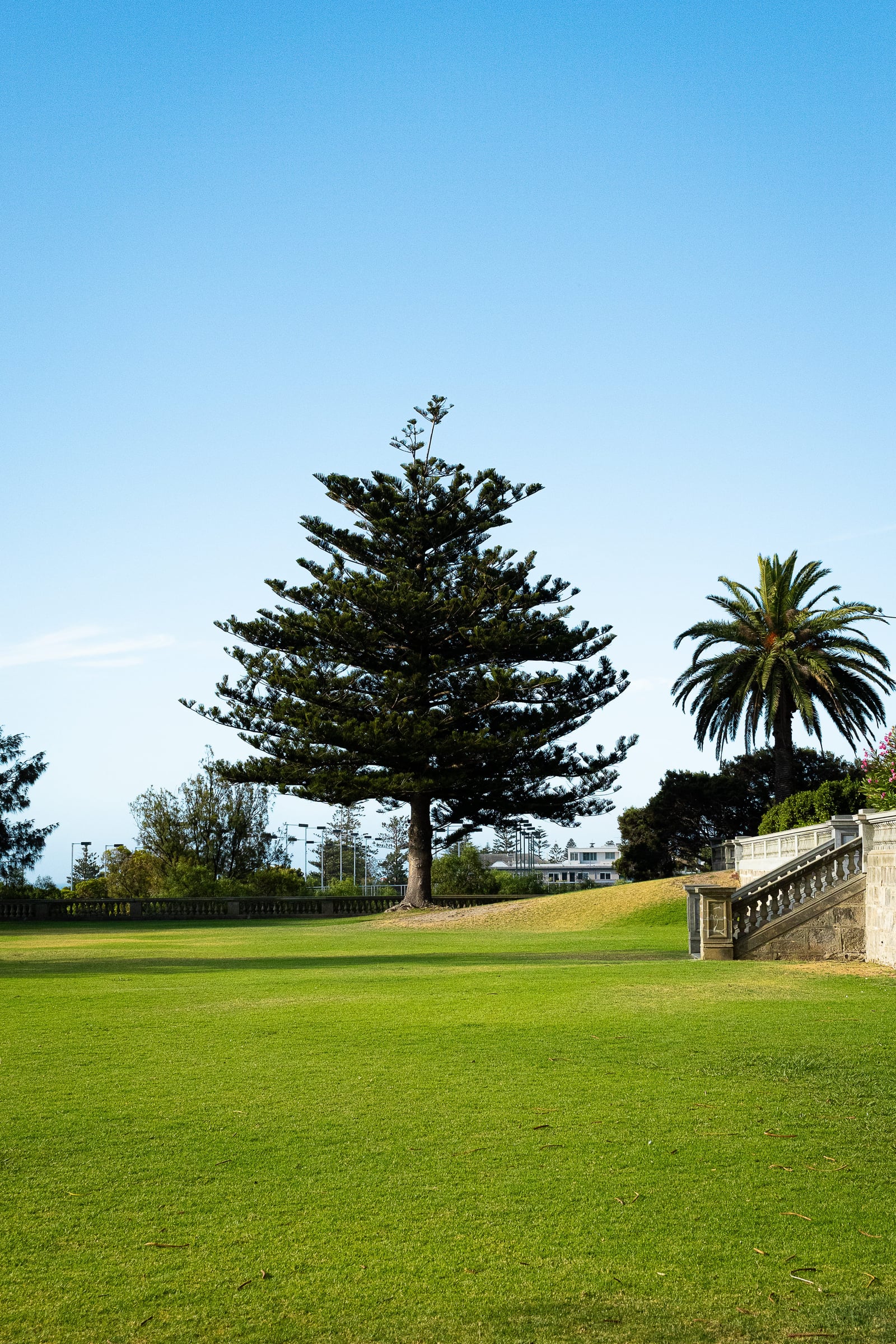 Photography in Australia