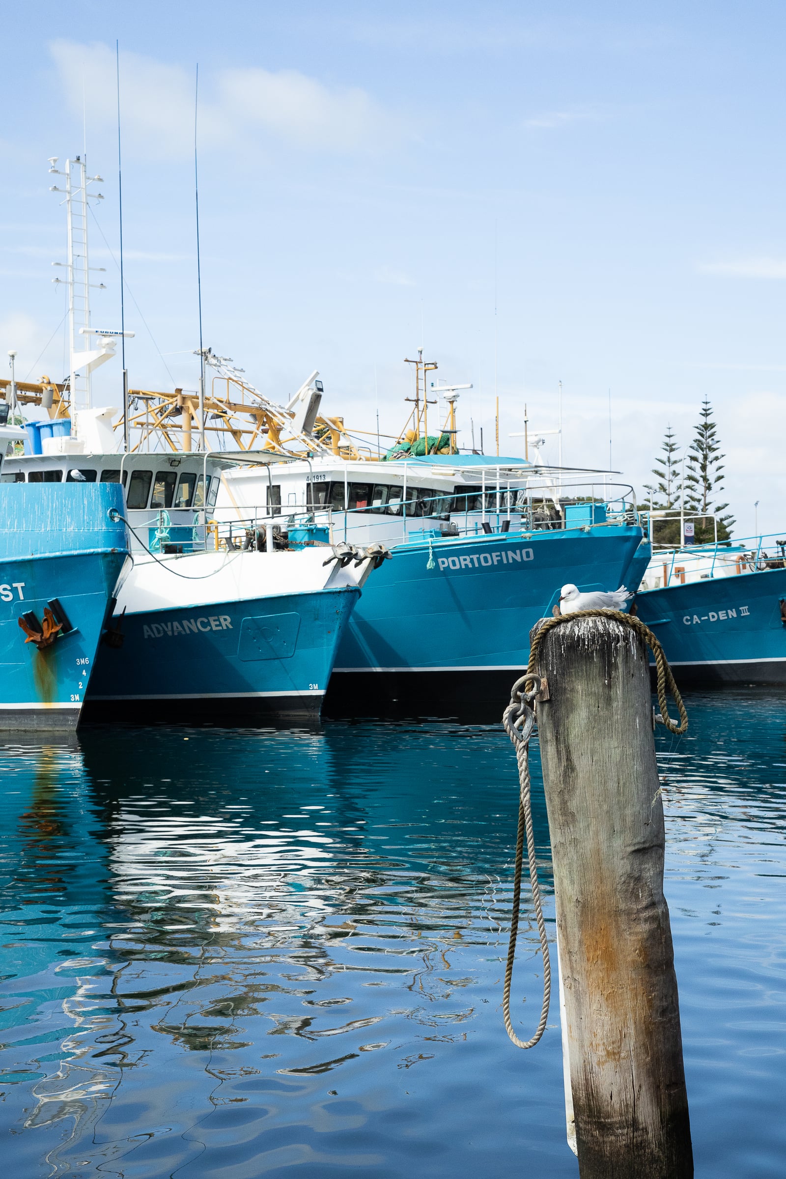 Photography in Australia