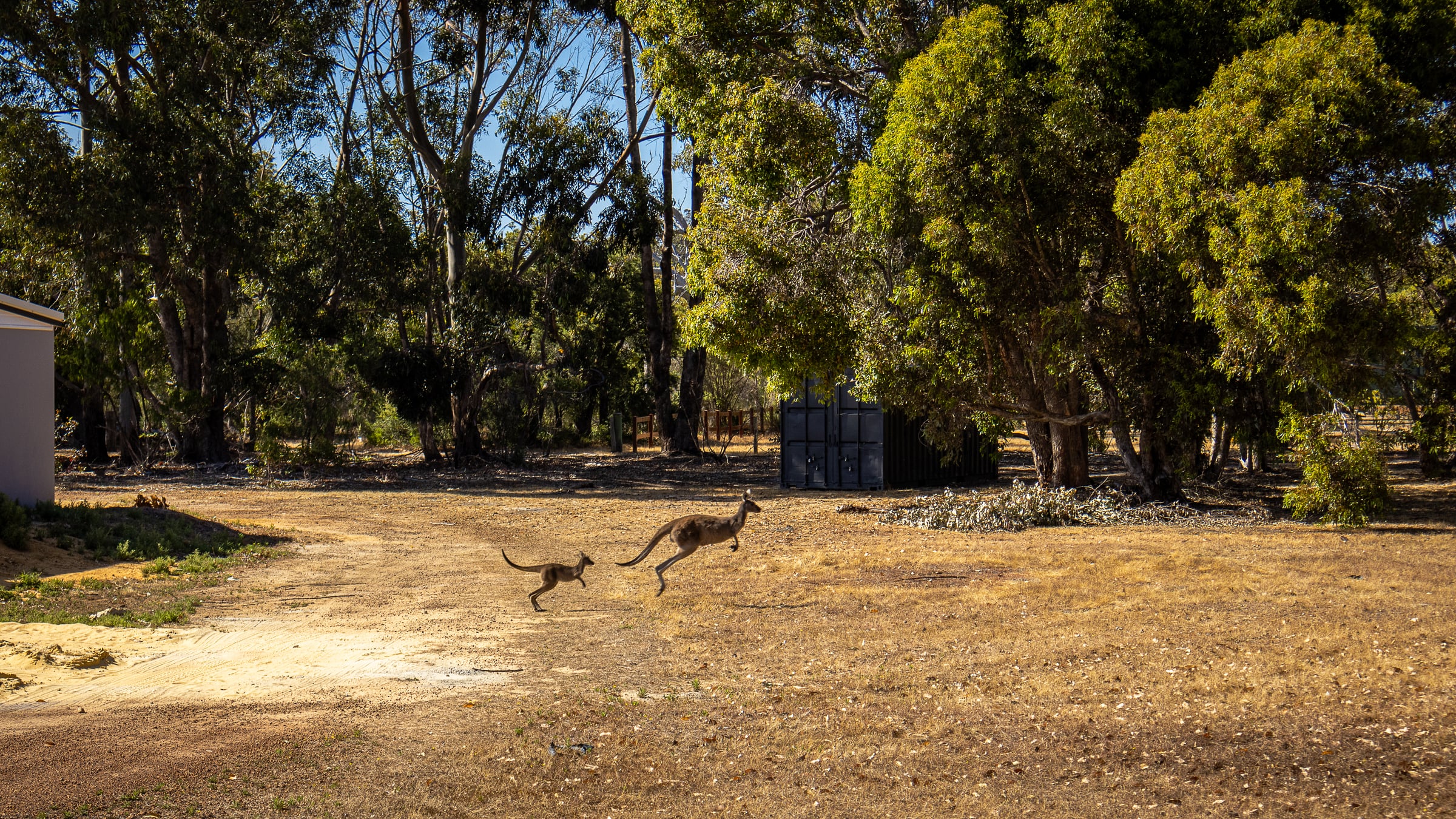 Photography in Australia