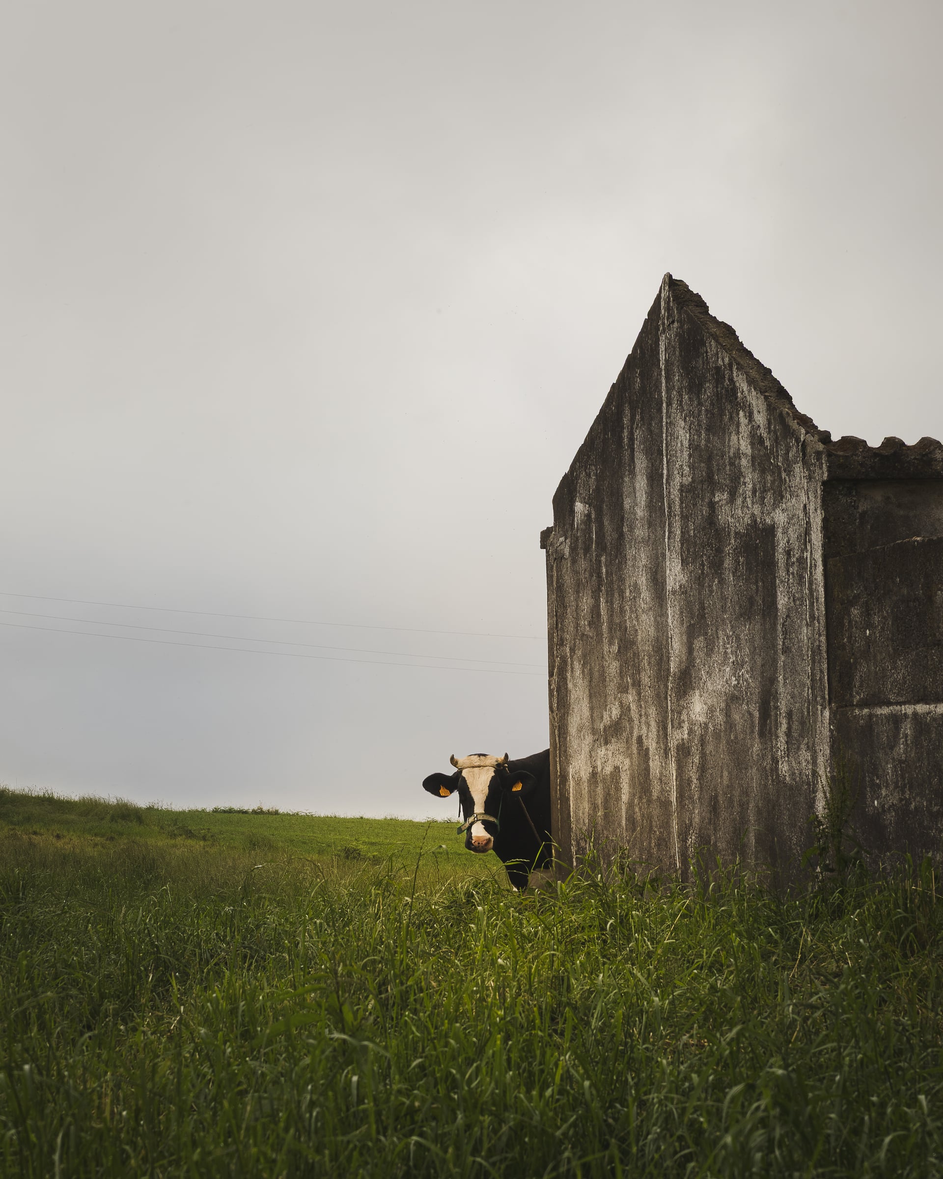 Photography in Azores, Portugal