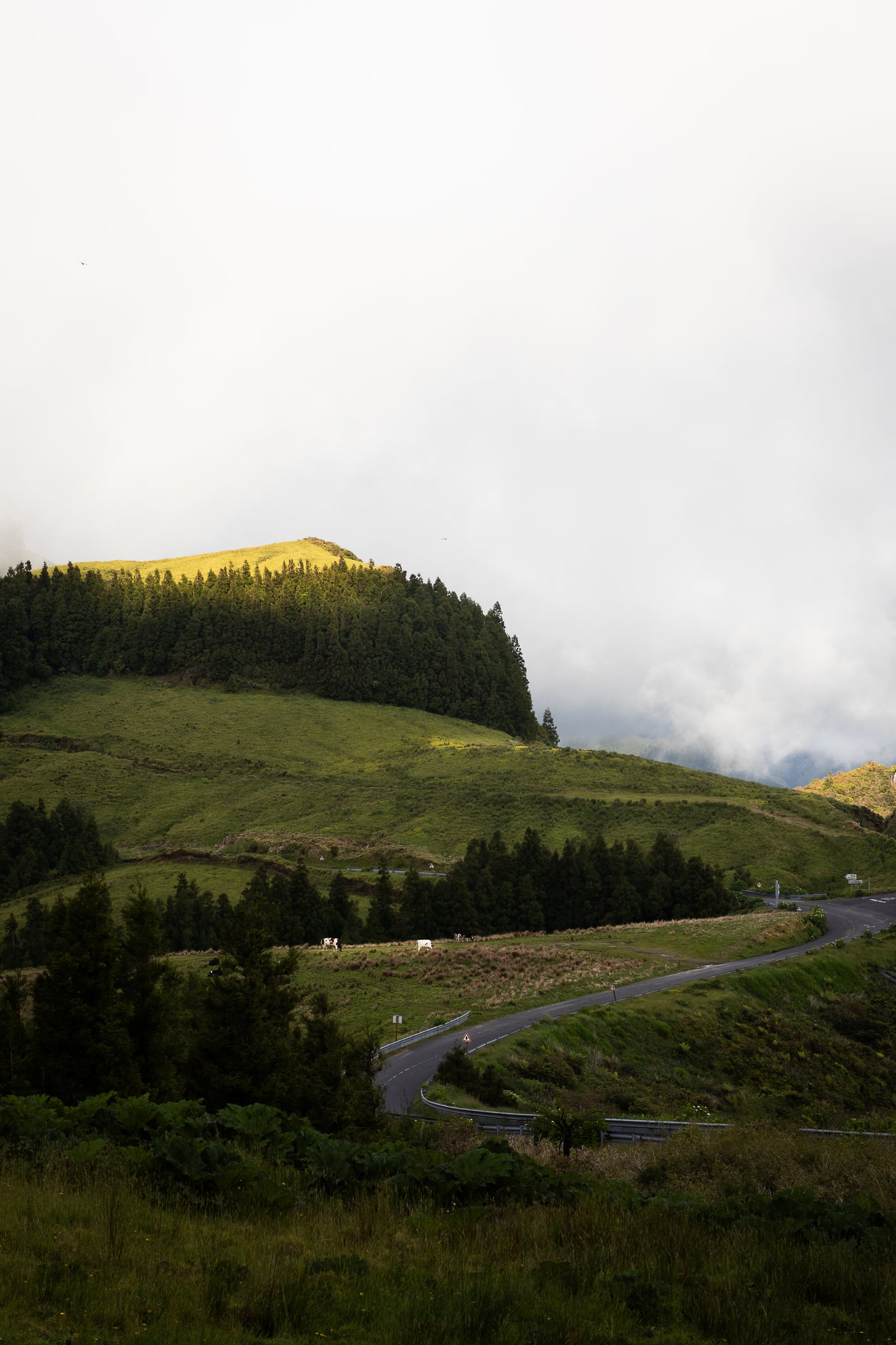 Photography in Azores, Portugal